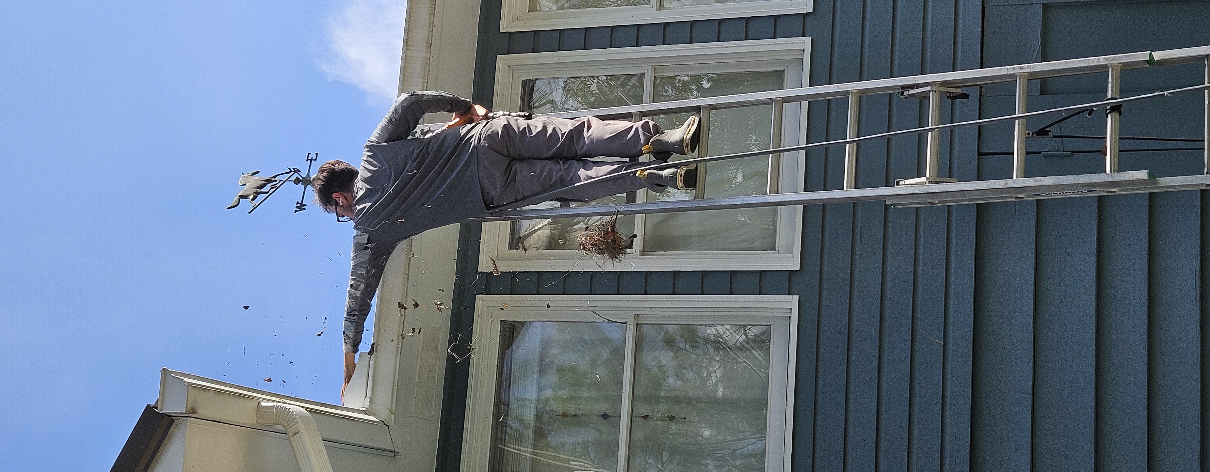 Gutter Cleaning
